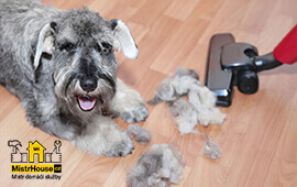 Чистка обивки